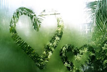 开云在线直播-南美风暴对决东欧铁壁，厄瓜多尔对阵乌克兰，阿克全程高能输出引爆全场