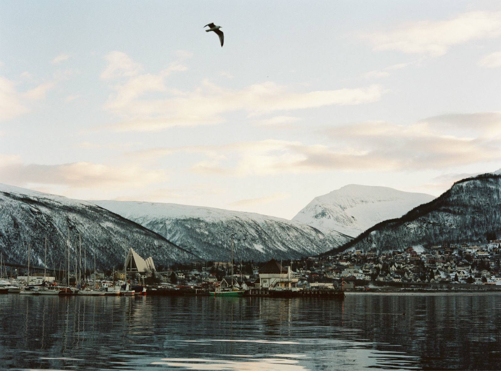 挪威逆转瑞典,阿什拉夫点燃赛场的简单介绍 挪威逆转瑞典,阿什拉夫点燃赛场的简单介绍