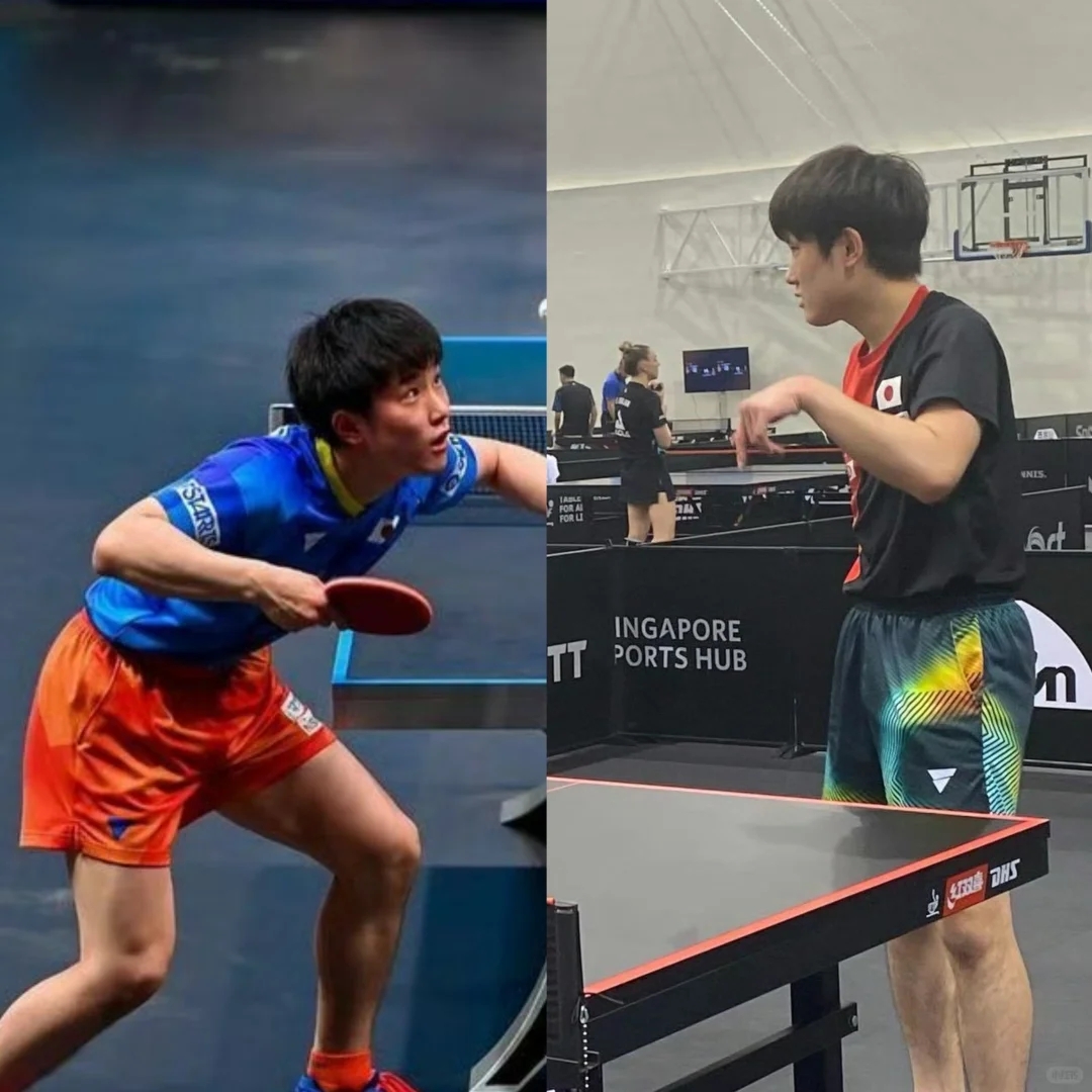 包含奥地利队碾压韩国队，张本智和惊艳四座的词条