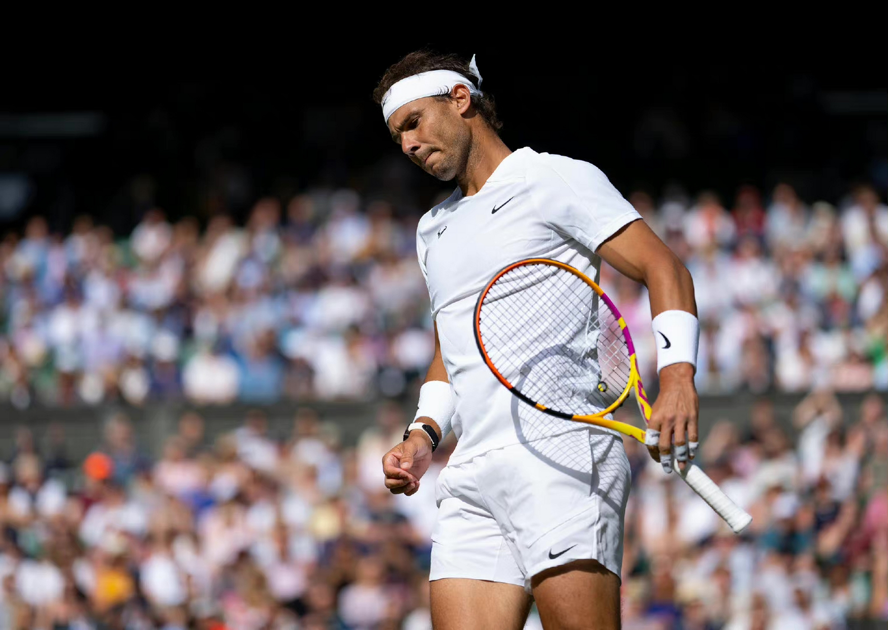 西班牙网球队强势世界网球队，纳达尔打破历史纪录的简单介绍