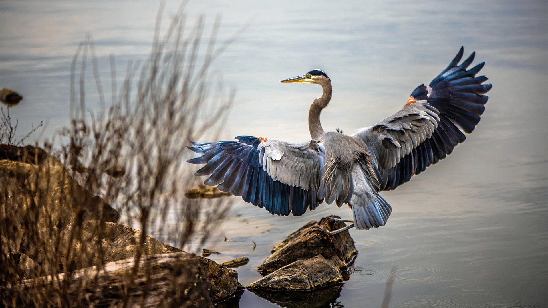 阿克一锤定音!韩国队闪电战速胜牙买加,关键先生改写比赛剧本